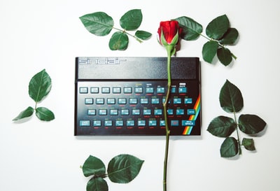 黑电脑键盘上的红玫瑰